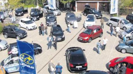 Ein Überblick: Zahlreiche Besucher informierten sich beim Marktsonntag über neue Automobile.  