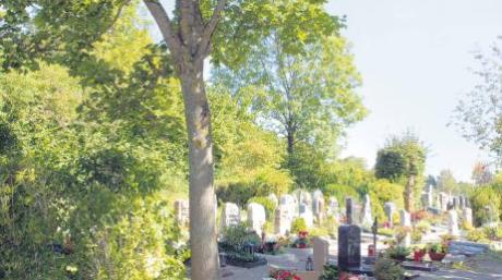 Im Zuge der Bauerhaltungsmaßnahmen 2011 wird auf Beschluss des Gemeinderats auch der Zugangsbereich zum Friedhof Thalfingen erneuert. 