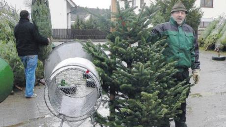 Bei Wind und Wetter verkauft Josef Thoma in Gerlenhofen Weihnachtsbäume.  