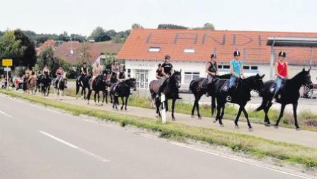 Die Roggenburger Reiter haben den autofreien Tag in der Region genutzt, um ihren Umzug in die neue Reitanlage am Ortseingang von Roggenburg zu vollenden.  