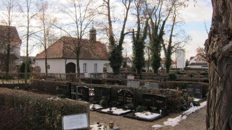 In den Bürgerversammlungen wünschten sich Bürger einen „Friedwald“ für Urnenbestattungen auf dem Pfaffenhofener Friedhof.  