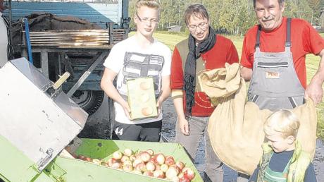 Aus etwa 4,5 Tonnen Äpfeln wurden in der Biberacher „Moste“ über 3000 Liter Bio-Apfelsaft gewonnen. 