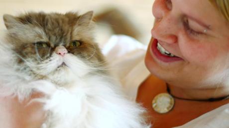 Miriam Graf leitet seit 2008 eine Katzenpension in Nersingen. Dort werden Stubentiger immer dann aufgenommen, wenn ihre Herrchen verreisen. Die Angora-Perser-Katze Antaris braucht besonders viel Fellpflege.  