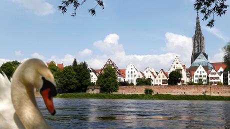 Der Ausblick ist fantastisch, doch am Ufer der Donau gibt es aus Sicht der Stadt Ulm noch einiges zu verbessern. So sollen die Aufenthaltsqualität am Fluss und der Zugang zum Wasser verbessert, Konflikte zwischen Radfahrern und Fußgängern auf den Wegen entschärft werden. 