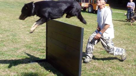 Unter anderem sportlich geht es zu beim Schäferhundeverein in Pfuhl. Was dort für die Vierbeiner noch alles geboten ist, erfahren Interessierte beim Tag der offenen Tür. 	