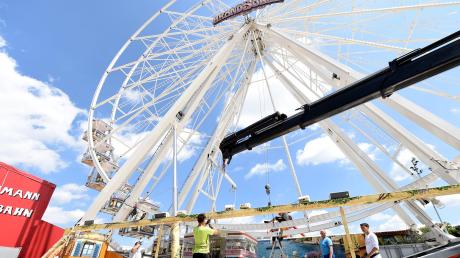 Das „Grand Soleil“ – die große Sonne – ist fast fabrikneu und das größte Riesenrad, das jemals in Ulm auf dem Volksfest gastierte. 50 Meter ragt es in der Friedrichsau in die Höhe. 