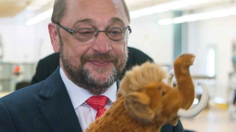 Die Kinder von Martin Schulz sind längst aus dem Haus, doch Steiff-Tiere kennt er freilich immer noch. Von der SPD-Landesvorsitzenden Leni Breymaier bekam er das Mammut Loni geschenkt. 