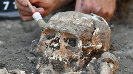 Ein menschliches Skelett gibt in Lonsee Rätsel auf. Symbolfoto: Hendrik Schmidt/dpa-