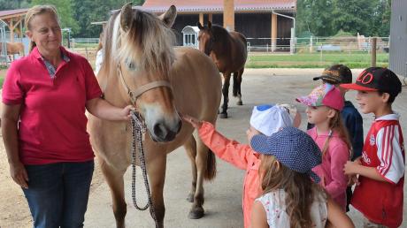 Pferdehof-Besitzerin Tanja Ölberger zeigt den Kindern aus dem Kindergarten St. Martin ihren Pferdehof bei einem Aktionstag des BBV. Die Kleinen dürfen auch mal Pferd Chill streicheln.  	