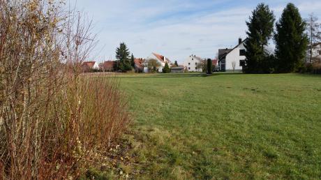 Auf diesem Areal am südwestlichen Ortsrand Holzheims soll ein neues Wohngebiet entstehen. Die Planungen dazu hat der Gemeinderat jetzt vergeben.  	