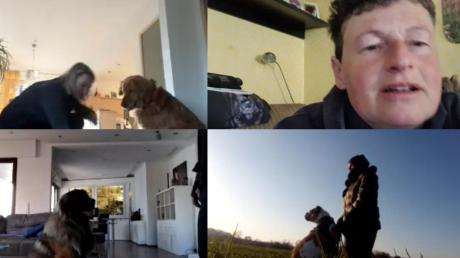 Sandra Franke führt eine Hundeschule in Aufheim. In der aktuellen Situation unterrichtet sie Hund und Herrchen über das Internet. Per Videochat gibt sie Tipps und beobachtet, wie die Übungen ausgeführt werden. 	