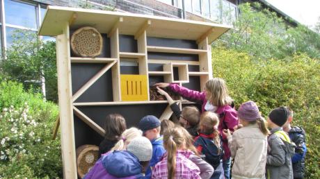 Andrea Leipnitz vom Gartenbauverein Unterstall-Attenfeld zeigt Paula Print den Kindern der Grundschule Bergheim, wie man die Insektenvilla bestückt.  
