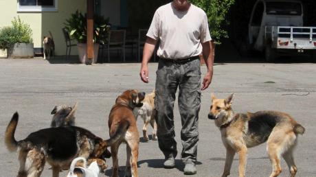 „Tierheime werden oft nicht unbedingt sinnvoll gebaut“, sagt Tierheim-Chef Gerd Schmidt.  
