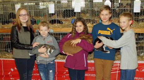 Stolz zeigen die Jugendlichen des Karlshulder Kaninchenzüchtervereins Selina und Kevin Schmid, Jasmin Eckert, Andreas und Markus Fischer (von links) ihre prämierten Zuchttiere. 	