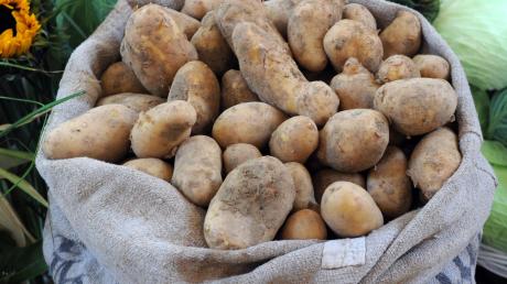 Das Interesse des Fachpublikums an frischen Kartoffeln aus Bayern steigt. Das Gleiche gilt für Bio-Kartoffeln aus Bayern.  	 	