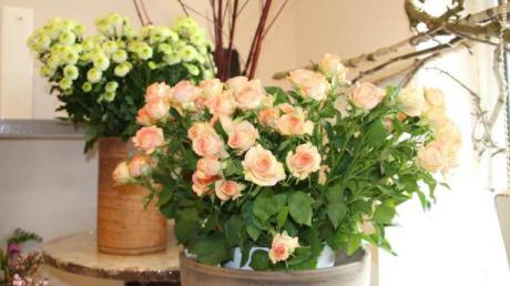 Pastelltöne sind bei Schnittblumen wie den beliebten Polyantha-Rosen in diesem Jahr ein echter Hingucker. 