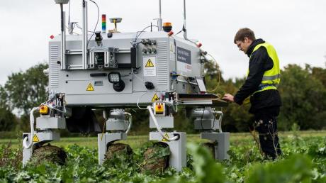 Landwirtschaft 2.0: Roboter fahren selbstständig über ein Feld und können dabei automatisch erkennen, welche Pflanze unter ihnen eine Nutzpflanze ist und welche als Unkraut zählt. Bis zur Marktreife dauert es allerdings noch.