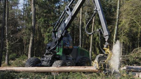 Ein Holzvollernter im Einsatz im Mühlbergholz an der Landkreisgrenze bei Egweil. Dort wird Käferholz schnell und schonend entfernt.