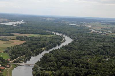 Helfer zur Pflege der Donau-Auen gesucht