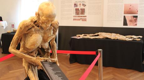 Echte Leichen, präpariert für die Ewigkeit: In der Ausstellung „Echte Körper“ kann die Anatomie des Menschen unter die Lupe genommen werden.