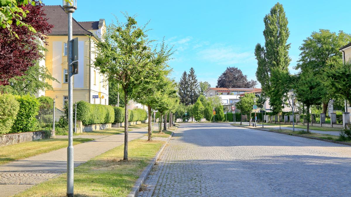 #Neuburg: Neuburger Stadtbäume haben Durst und brauchen Hilfe