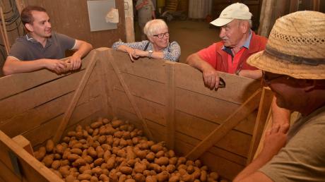 Bei entsprechender Lagerung halten sich Kartoffeln bis in den folgenden Frühsommer hinein. Wie das funktioniert, wird Max Steinherr (links) Besuchern des 