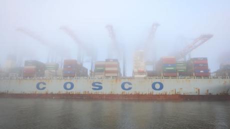 Das Containerschiff «Cosco Pride» liegt im dichten Nebel am Containerterminal Tollerort im Hamburger Hafen.