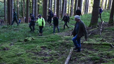 Freiwillige durchkämmen einen Wald nach der verschwundenen 15-Jährigen Lina aus dem Elsass.