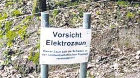 Nächste Woche will das Landratsamt Ansbach über die Zukunft des Wildschutzzauns entscheiden.  