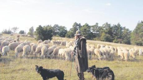 Unser Bild zeigt einen Schäfer mit seiner Herde am Riesrand. Am Sonntag gibt es einen 1. Donau-Rieser-Schaftag. 