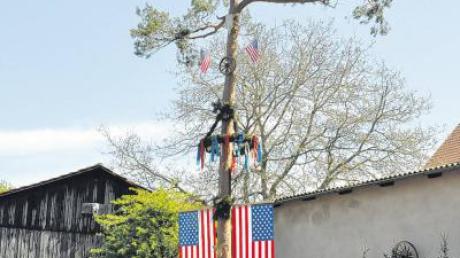 Eine mächtige Kiefer ist der diesjährige Maibaum der Gipfelstürmer Mönchsdeggingen. Er ist von einem kleinen Holz-Fort umgeben und mit USA-Fahnen geschmückt.