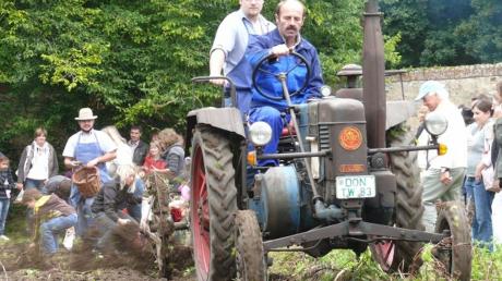 Mit alten Traktoren wird in Maihingen auch gezeigt, wie früher die Äcker bewirtschaftet wurden.