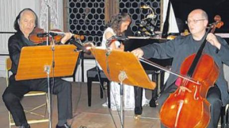 Jacob Gilman, Tatjana Chernichka und Suren Bagratuni eröffnen am 3. September die Konzertreihe während des Violinfestivals in Oettingen.  