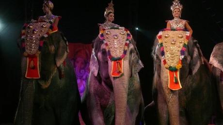 Die Wappentiere des Hauses Krone sind die Elefanten. Vorgeführt werden sie von James Puydebois und Jana Mandana.