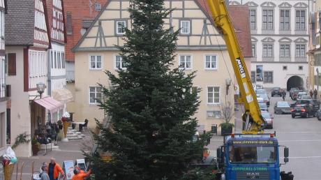 Nicht mehr lange ist es hin, dann startet in Oettingen der Christkindlesmarkt. Inzwischen haben die Aufbauarbeiten begonnen: Der prächtige Christbaum, noch unbeleuchtet, steht bereits.  


