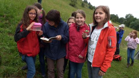 Die Fünftklässler der Maria Ward Realschule in Wallerstein haben 800 Euro für den Bund Naturschutz gesammelt. Zum Dank bekamen sie jetzt einen Naturerlebnistag geschenkt.  	