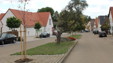 Hier könnte nach Ansicht einer Interessengemeinschaft Tempo 30 entstehen: Die Mittelstraße in Wallerstein vor dem Kindergarten. 