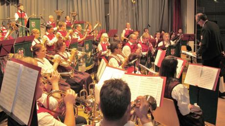 Die Ederheimer Musikanten boten zum Abschluss des Jubiläumsjahres ein eindrucksvolles Konzert. 	