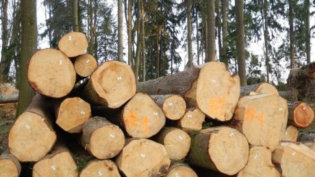 Die Saison 2014/2015 ist nach Auffassung der Nordrieser Waldbauern eher durchwachsen ausgefallen. Wetterextreme und Käferbefall bereiteten die größten Probleme.  	