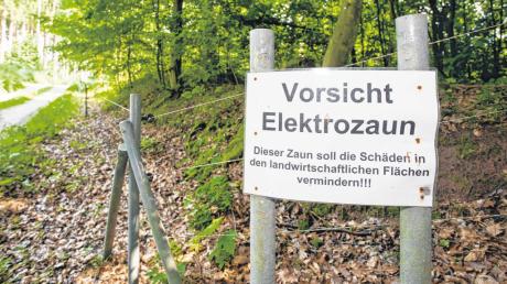 In Ansbach musste der umstrittene Wildschutzzaun im Oettinger Forst abgerissen werden, im Donau-Ries-Kreis durfte er hingegen bleiben. 