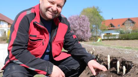 Thomas Murr hat mit seinen Händen den Spargel auf einem Feld hinter dem Sonnenhof in Rudelstetten ausgegraben. 