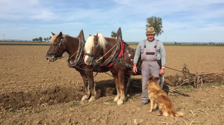 Auch sein Hund ist immer mit dabei, wenn Friedrich Gerstenmeier mit seinen Pferden auf dem Acker arbeitet.  	