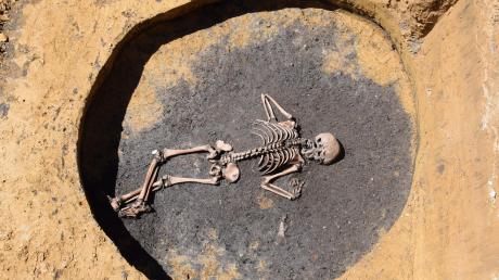 Das Skelett eines Buben ist bei archäologischen Ausgrabungen auf dem Varta-Gelände gefunden worden. Der Bub war zwischen neun und zwölf Jahre alt, 1,30 Meter groß und musste schwer körperlich arbeiten. 	
