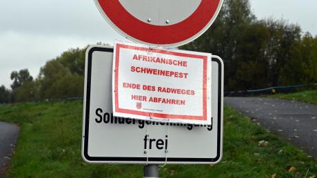 Ein Ortsschild in Brandenburg weist das Gebiet als Kernzone der Afrikanischen Schweinepest an der polnischen Grenze aus. Auch andere Gebiete in Deutschland sind betroffen.  	