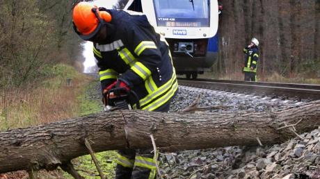 Einen Baum hatte das Stumrtief Ylenia am Donnerstag auf ein Gleis der Paartal bei Schrobenhausen. geweht. (Symbolbild) 