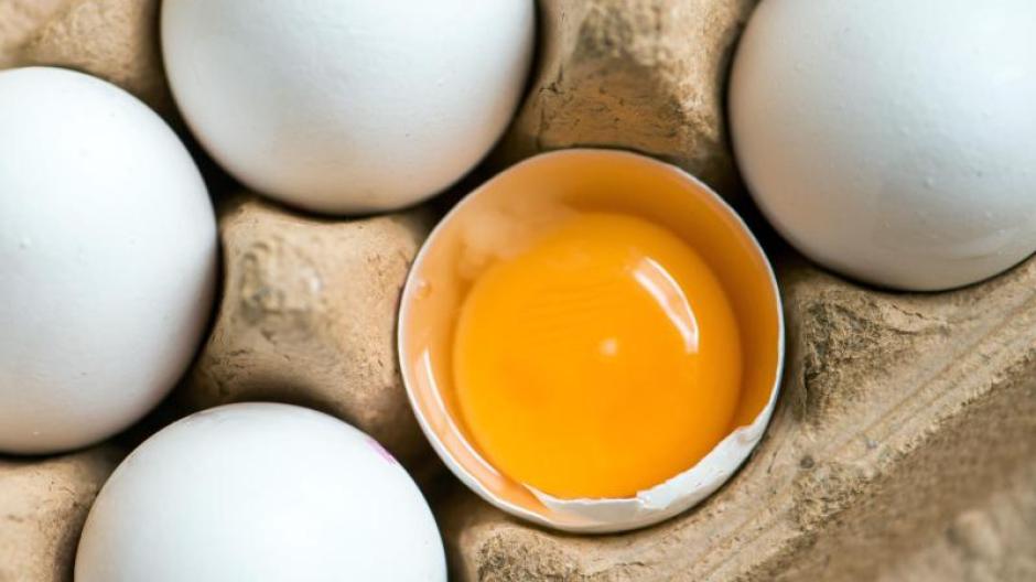 Ostern 2016: Kann man Eier einfrieren? Acht Fakten rund ums Ei - Geld