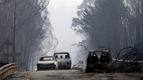 Einsatzkräfte, die sich ins Katastrophengebiet vorarbeiteten, stießen auf ausgebrannte Autos mit verkohlten Leichen. Über 60 Menschen sind bei dem Waldbrand gestorben. 
