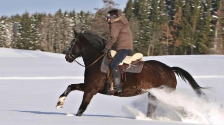 Ein Ausritt im Schnee ist für die meisten Reiterinnen und Reiter ein besonderes Erlebnis. Aber auch den Pferden macht es Spaß.