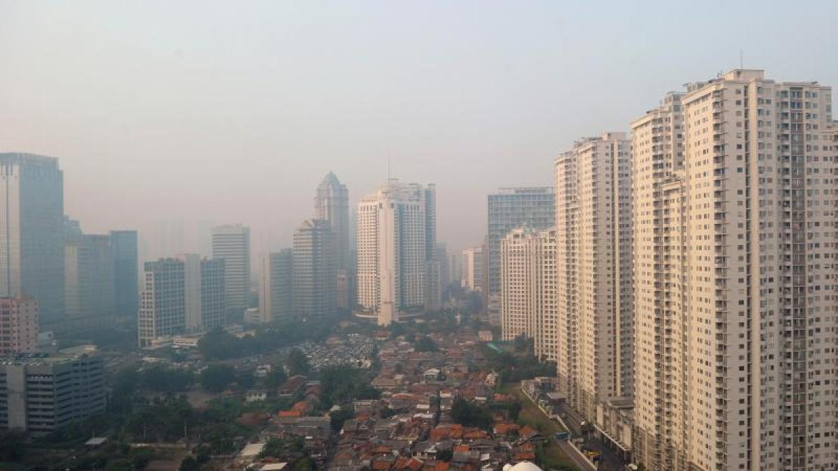 Ini sudah berakhir untuk Jakarta: Indonesia menginginkan ibu kota baru di hutan