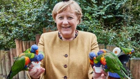 Bundeskanzlerin Angela Merkel füttert im Vogelpark Marlow australische Loris.